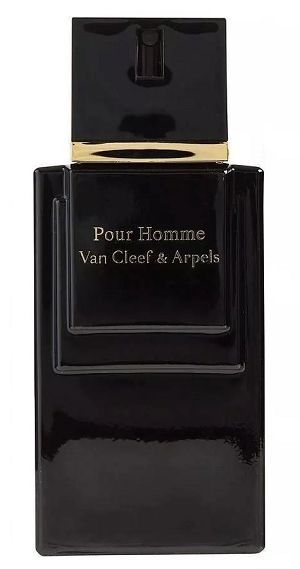 Van Cleef & Arpels Pour Homme 100ml - Perfume Importado Masculino