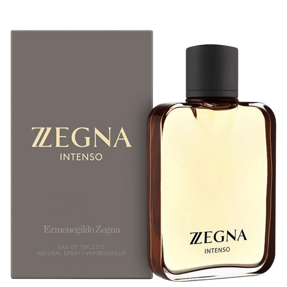 Z Zegna Intenso 100ml - Perfume Importado Masculino - Eau De Toilette