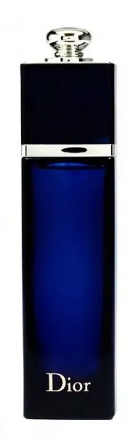 Dior Addict 100ml - Perfume Importado Feminino - Eau De Parfum