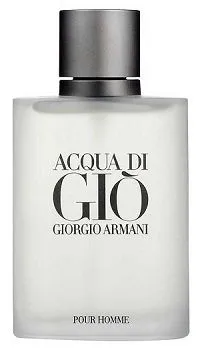 Acqua Di Gio Pour Homme 100ml - Perfume Importado Masculino - Eau De Toilette