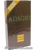 Adagio For Men 100ml - Perfume Importado Masculino - Eau De Toilette