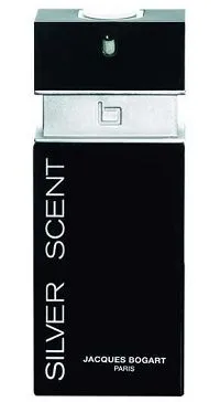 Silver Scent 100ml - Perfume Importado Masculino - Eau De Toilette