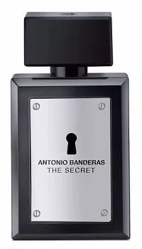 The Secret 100ml - Perfume Importado Masculino - Eau De Toilette