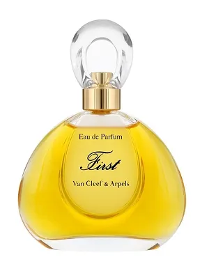 First Van Cleef & Arpels 100ml - Perfume Importado Feminino - Eau De Parfum