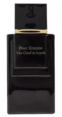 Van Cleef & Arpels Pour Homme 100ml - Perfume Importado Masculino - Eau De Toilette
