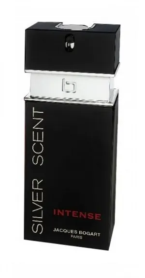 Silver Scent Intense 100ml - Perfume Importado Masculino - Eau De Toilette