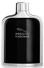 Jaguar Classic Black 100ml - Perfume Importado Masculino - Eau De Toilette