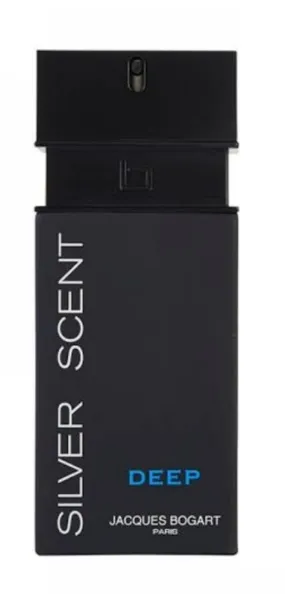 Silver Scent Deep 100ml - Perfume Importado Masculino - Eau De Toilette
