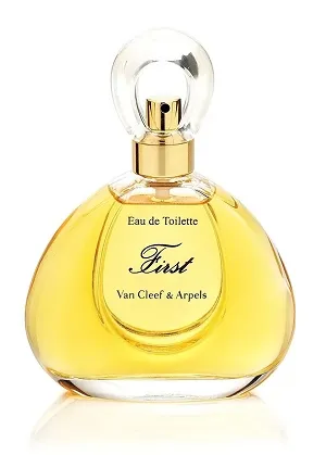 First Van Cleef & Arpels 100ml - Perfume Importado Feminino - Eau De Toilette