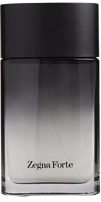 Zegna Forte 100ml - Perfume Importado Masculino - Eau De Toilette