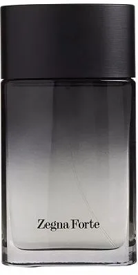 Zegna Forte 100ml - Perfume Importado Masculino - Eau De Toilette