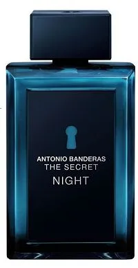 The Secret Night 100ml - Perfume Importado Masculino - Eau De Toilette