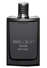 Jimmy Choo Intense 100ml - Perfume Importado Masculino - Eau De Toilette