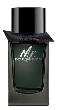 Mr. Burberry For Men 100ml - Perfume Importado Masculino - Eau De Parfum