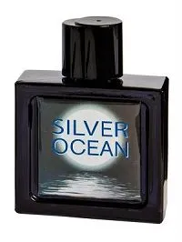 Omerta Silver Ocean 100ml - Perfume Importado Masculino - Eau De Toilette