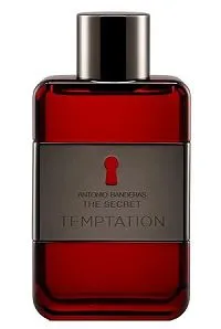 The Secret Temptation 100ml - Perfume Importado Masculino - Eau De Toilette
