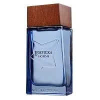 Lempicka Homme 100ml - Perfume Importado Masculino - Eau De Toilette