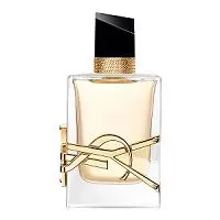 Libre Yves Saint Laurent 50ml - Perfume Importado Feminino - Eau De Parfum