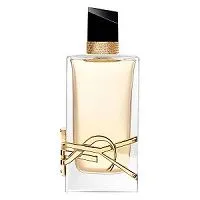 Libre Yves Saint Laurent 90ml - Perfume Importado Feminino - Eau De Parfum