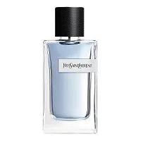 Y Yves Saint Laurent 100ml - Perfume Importado Masculino - Eau De Toilette