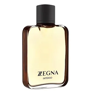 Z Zegna Intenso 100ml - Perfume Importado Masculino - Eau De Toilette