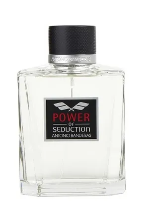Power Of Seduction 200ml - Perfume Importado Masculino - Eau De Toilette