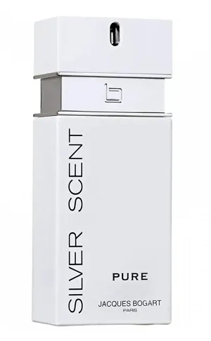 Silver Scent Pure 100ml - Perfume Importado Masculino - Eau De Toilette