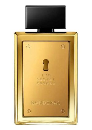 The Secret Absolu 100ml - Perfume Importado Masculino - Eau De Parfum