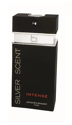 Silver Scent Intense 200ml - Perfume Importado Masculino - Eau De Toilette