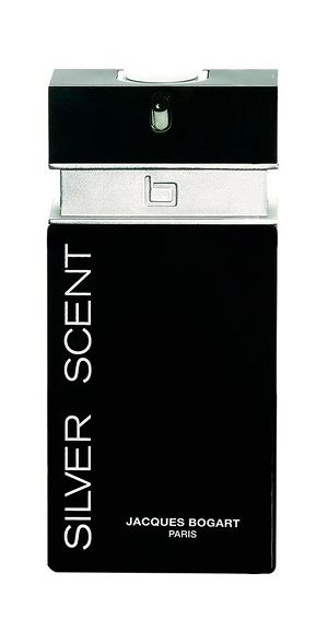 Silver Scent 200ml - Perfume Importado Masculino - Eau De Toilette