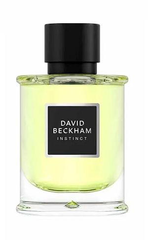 Instinct 75ml - Perfume Importado Masculino - Eau De Parfum