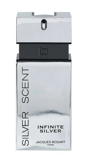 Infinite Silver Scent 100ml - Perfume Importado Masculino - Eau De Toilette